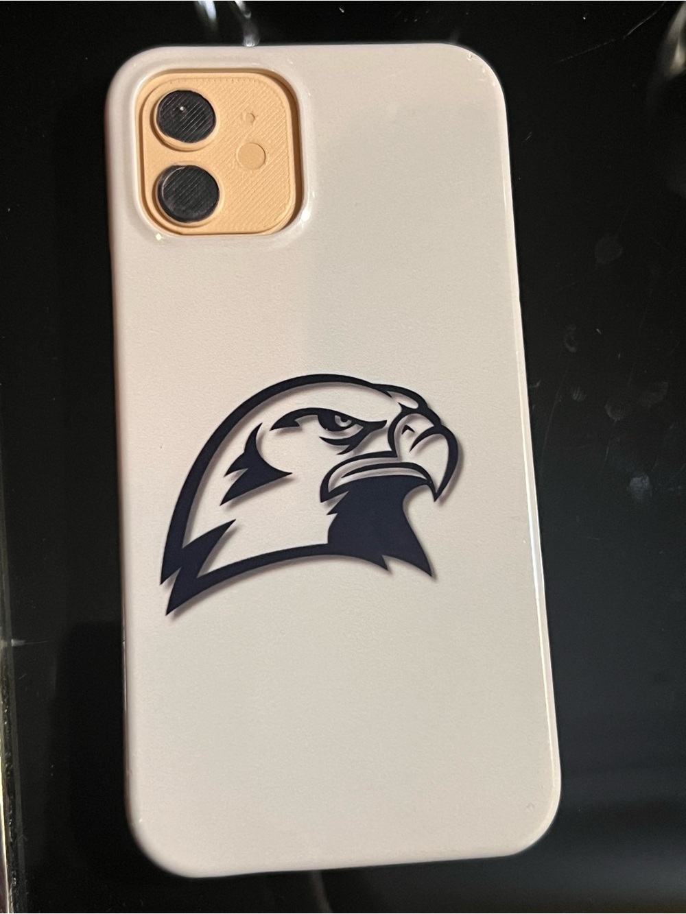 Eagle/hawk phone Case for iPhone 12/12 pro (6.1”)